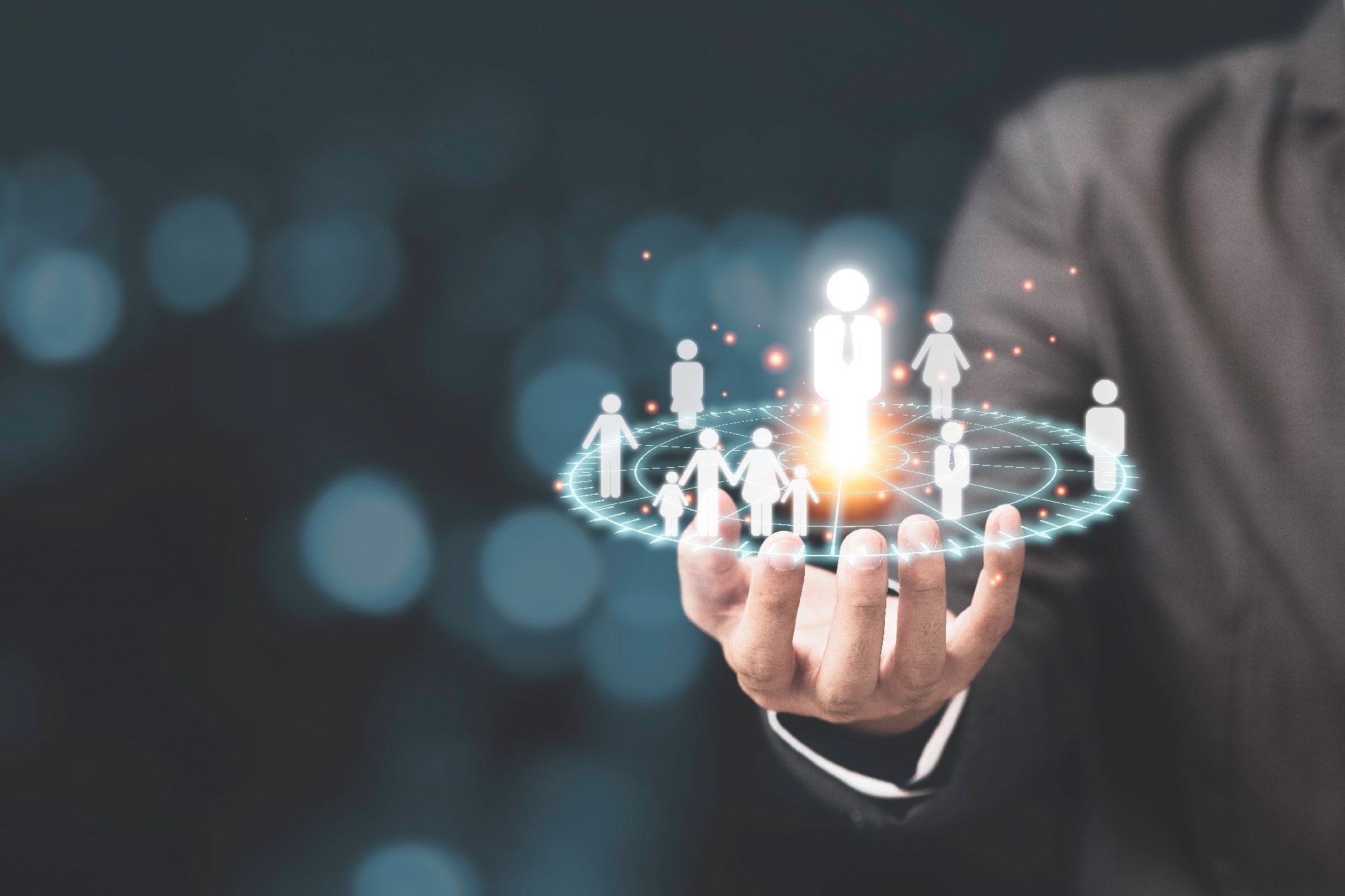 Image hover effect image